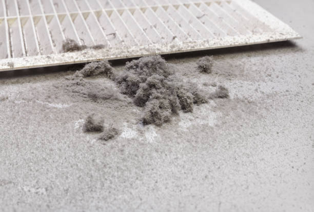 Best Air Duct Cleaning Company Near Me  in Bruceville Eddy, TX