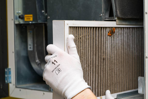 Best Air Duct Cleaning Company Near Me  in Bruceville Eddy, TX